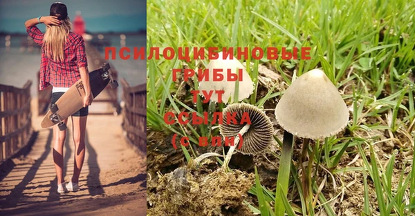 амф Лихославль