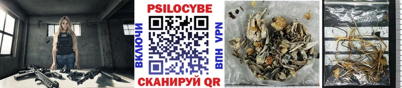 Купить закладки  Ачхой-Мартан  Галлюциногенные грибы MAGIC MUSHROOMS 